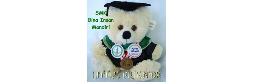 Boneka Wisuda SMK Bina Insan Mandiri